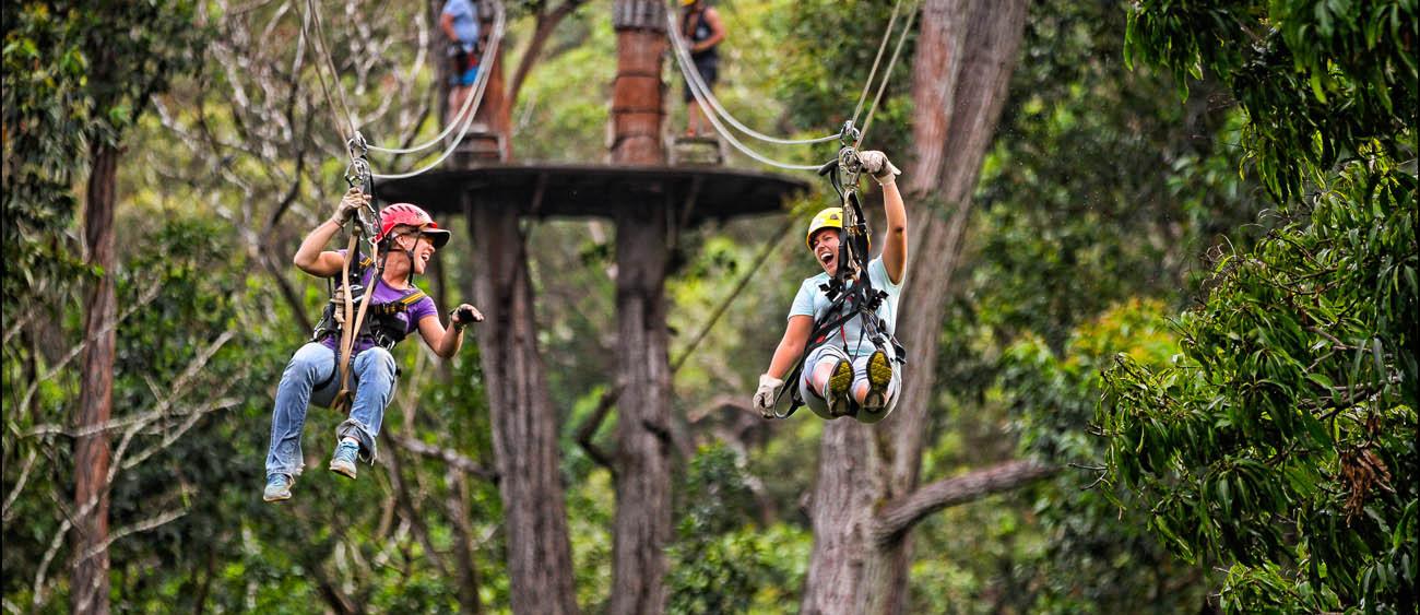 Kohala Canopy Adventure photo 1