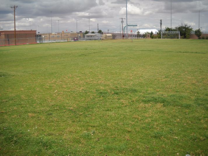 Playfield