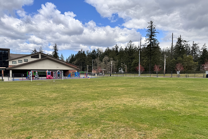 Athletic Field Grass