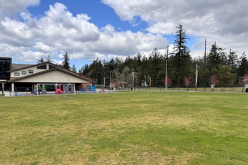 Athletic Field Grass