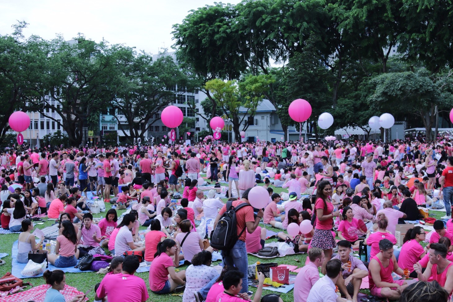 Getai Group curates Pink Dot music line-up