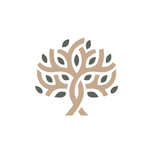 Valley Scholars College Initiative logo