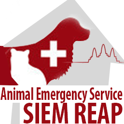 Animal Emergency Service Siem Reap logo