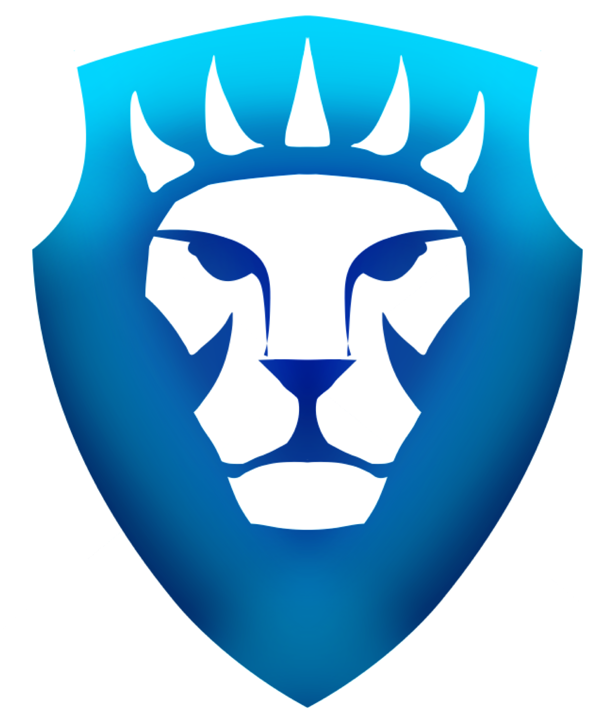 Code of Conduct logo