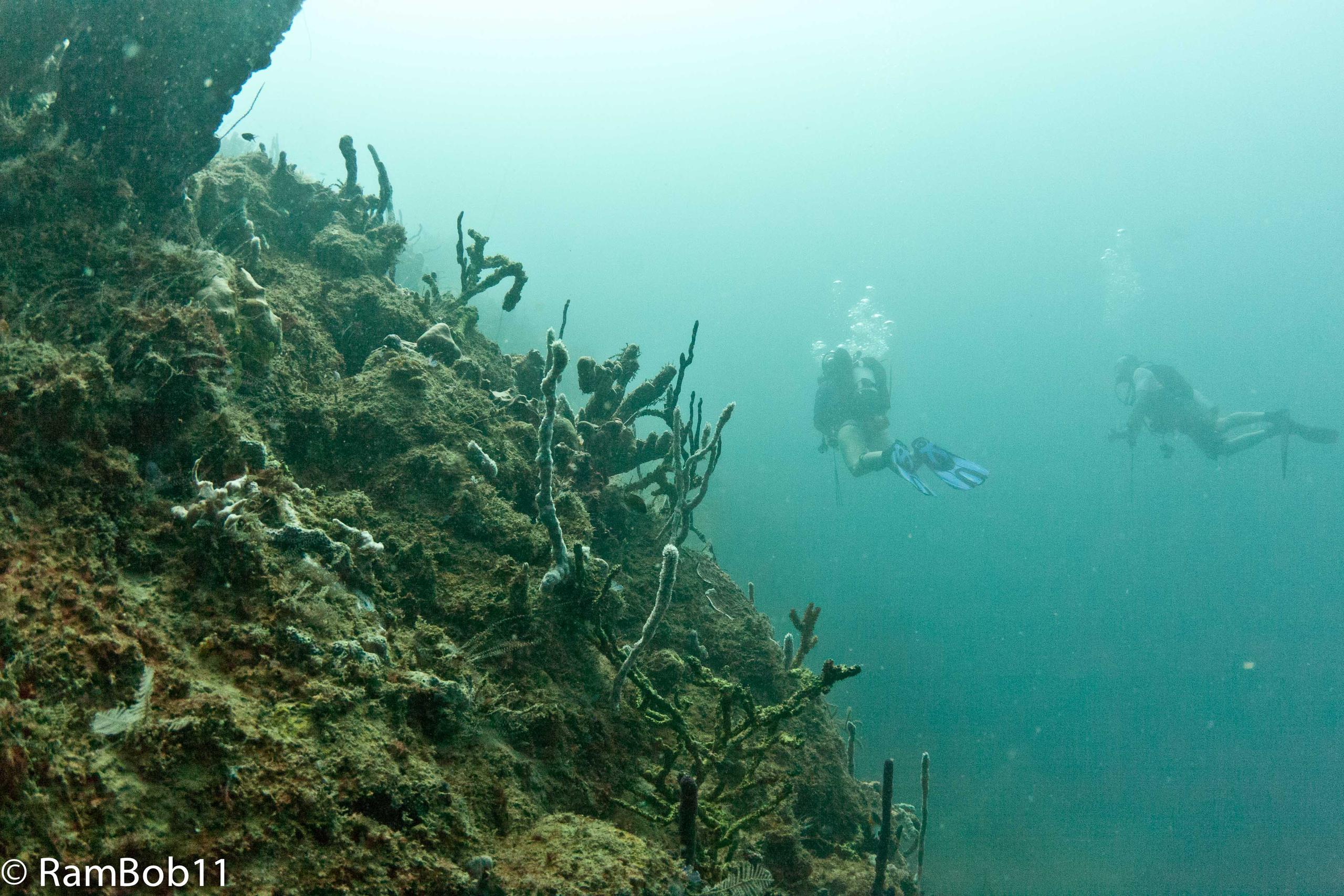 SNORKEL, BEACH & DIVE RENTAL photo 1