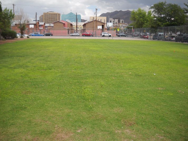 Playfield