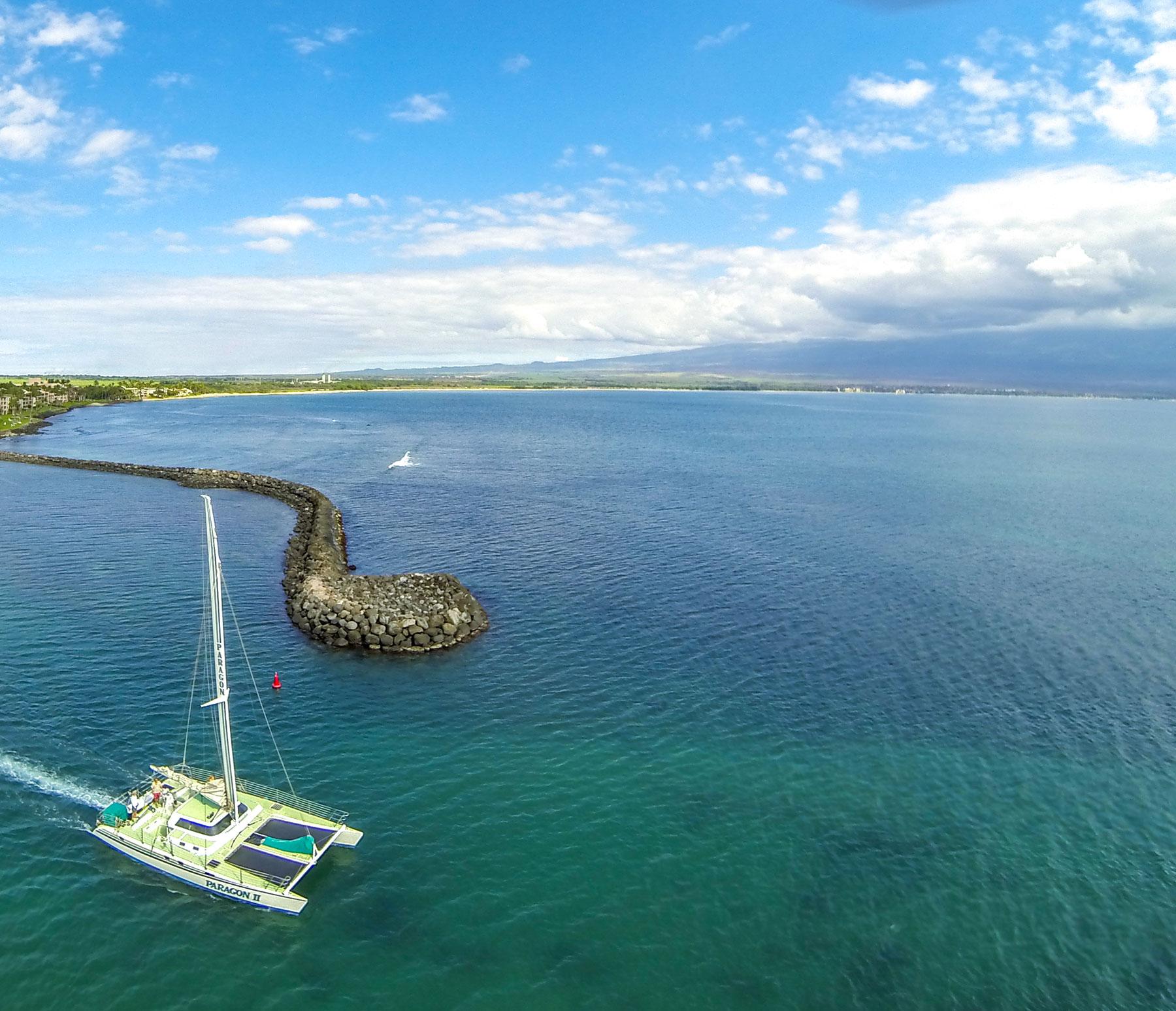 Coral Gardens Coastal Snorkel & Sail photo 1