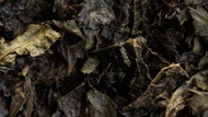 Awa Bancha from O5 Tea