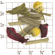 Berry Herb Blend (BH44) from Upton Tea Imports