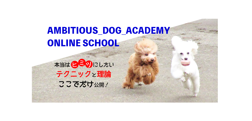 愛犬の魅力の最大化を楽しく実現