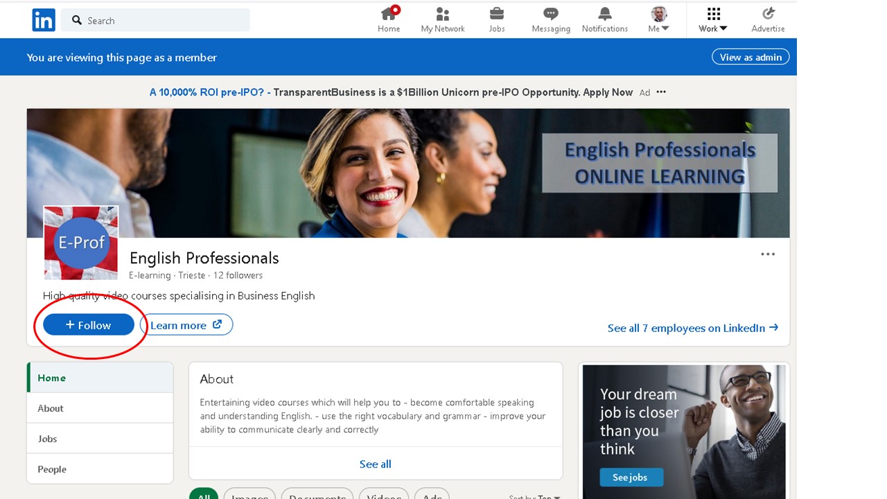 English Professionals on LInkedin