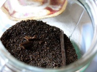 Vanilla Basic Black from joie de tea