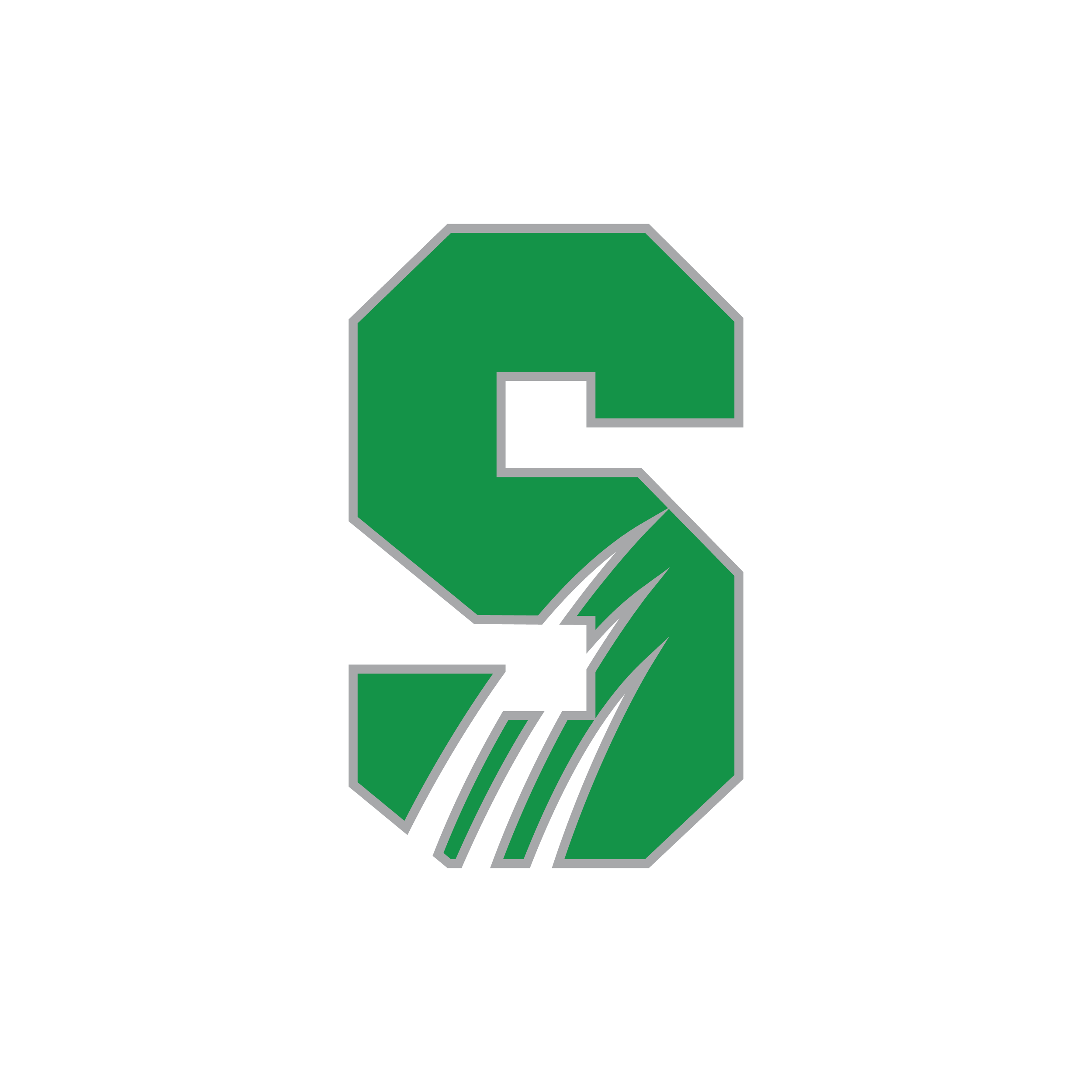 Salem University logo