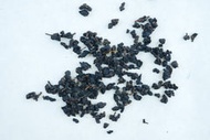 Dark Heavy-Roast Tie Guan Yin from Totem Tea