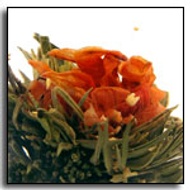 Orange Osmanthus Blooming Tea from The Exotic Teapot