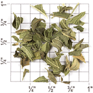 Domestic Spearmint from Upton Tea Imports