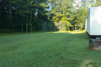 Field