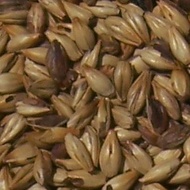 Crystal Malt 60 from Malt-Tea.com