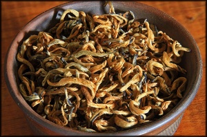 Imperial Gold Buds