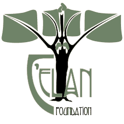 The C'ELAN Foundation logo