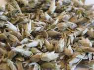 Wild Arbor Buds from Mandala Tea