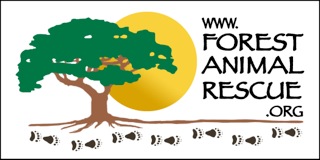 Forest Animal Rescue logo
