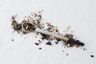 Summer Nights from Aesthete Tea