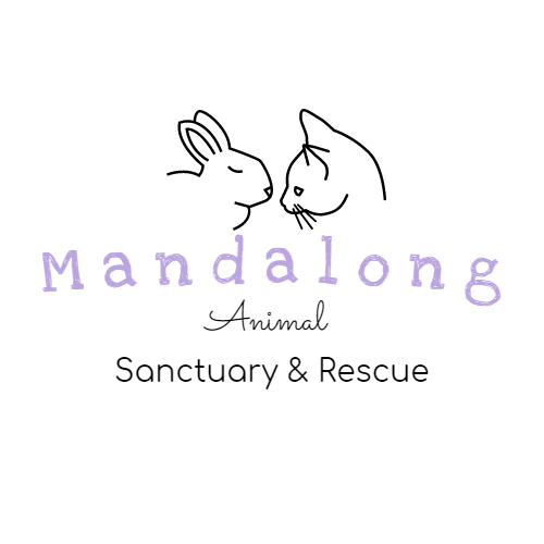 Mandalong Animal Sanctuary & Rescue logo