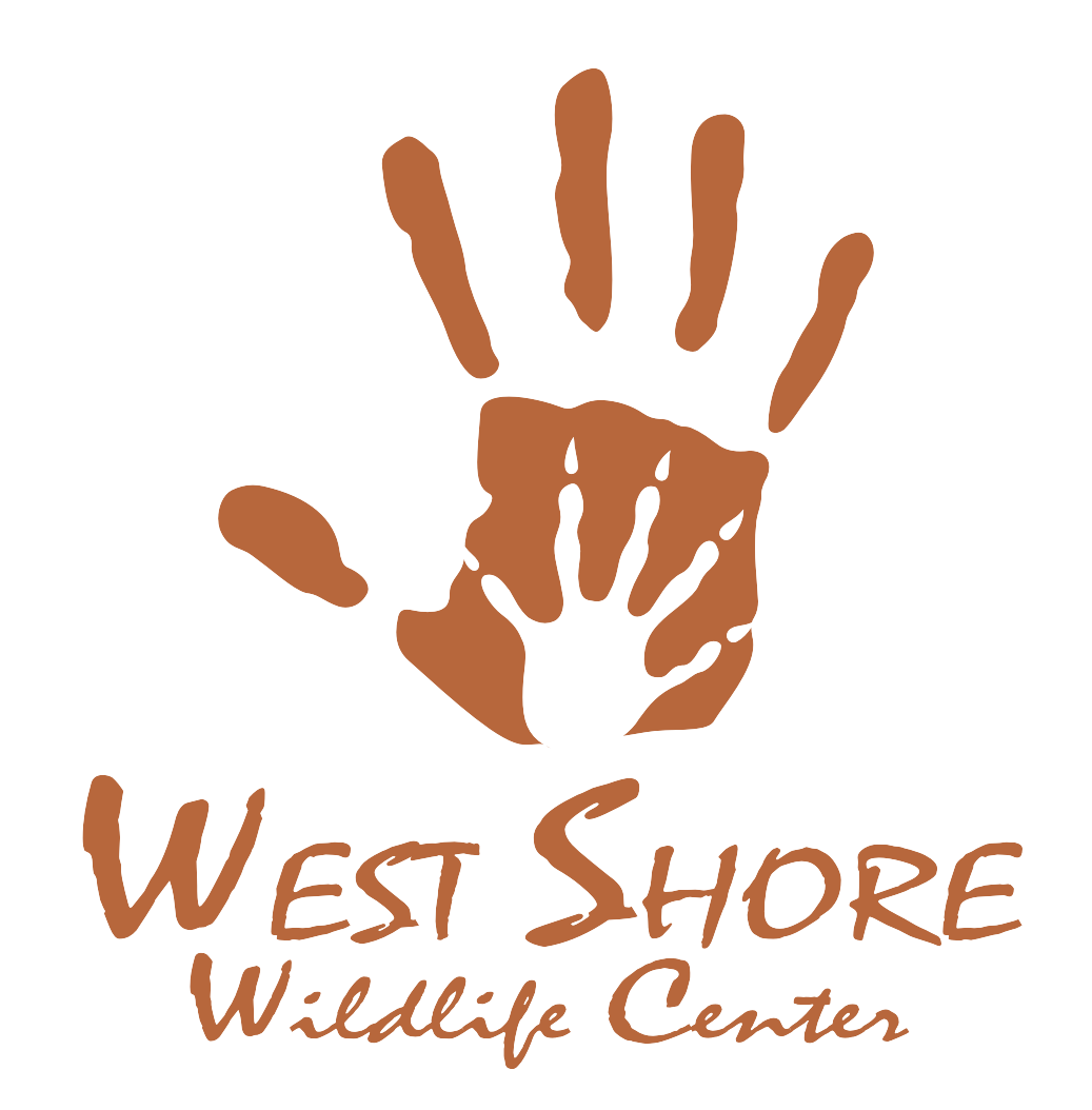 West Shore Wildlife Center logo
