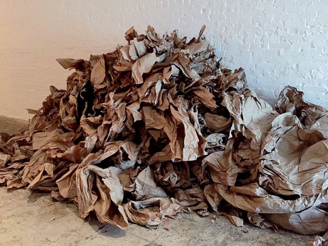 image: At the end of every Paper Dance, Janine Antoni would discard the paper used during her performance.