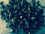 Milky Oolong from unknown name