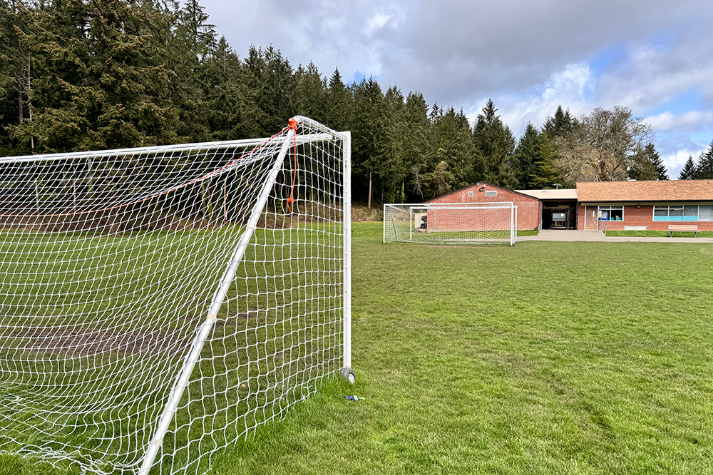 Athletic Field Grass