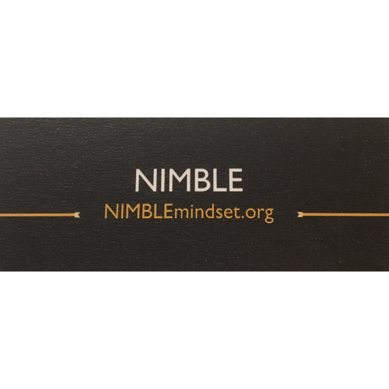 National Institute for Mentoring Business Leaders & Entrepreneurs (NIMBLE) logo