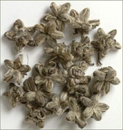 Star Of China from The Tea Table