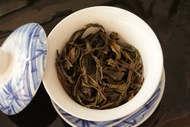 Yiwu Wild Spirit 2017 Spring from Yiwu Mountain Tea