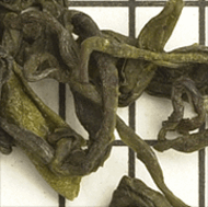 After The Snow Sprouting from Upton Tea Imports
