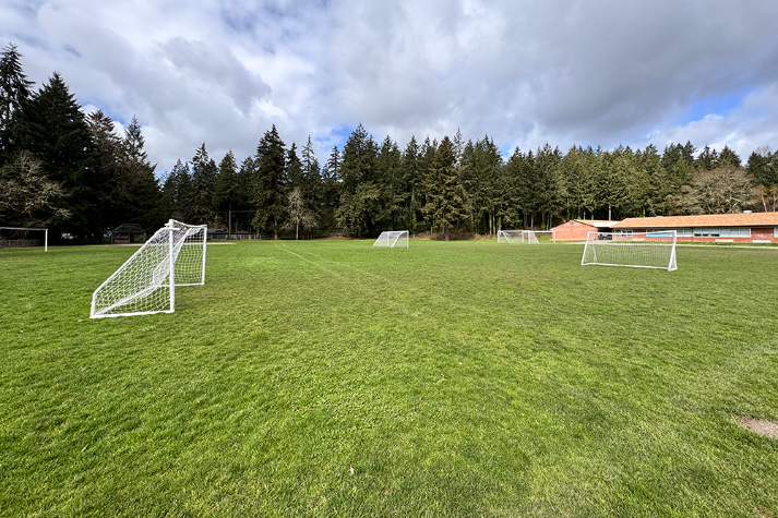 Athletic Field Grass