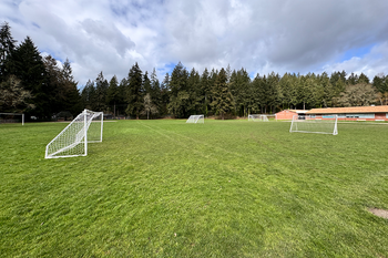 Athletic Field Grass