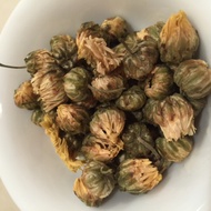 Chrysanthemum from Rosali Tea