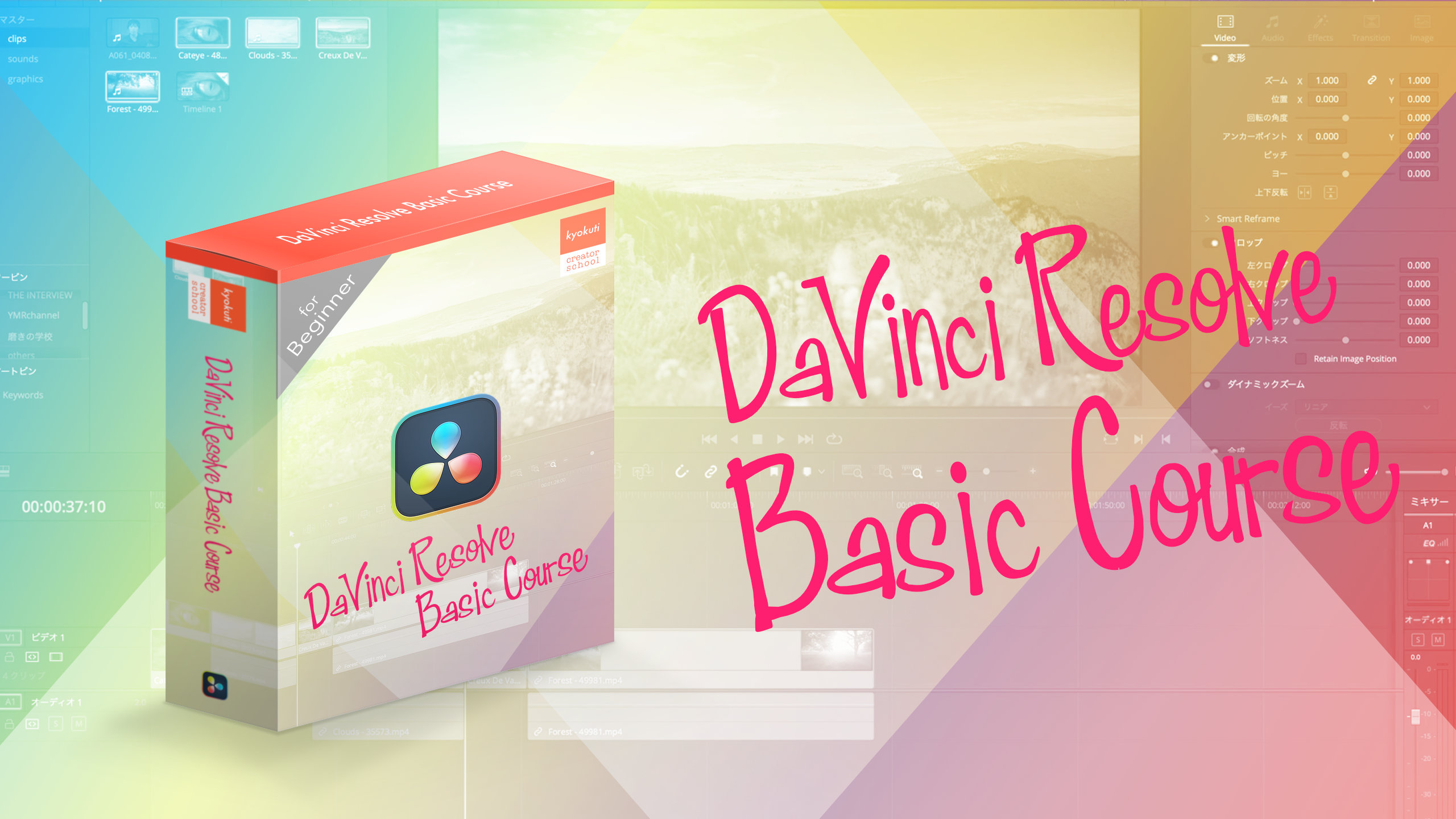 Fusion Studio DaVinci Resolve Studio 語学・辞書・学習参考書