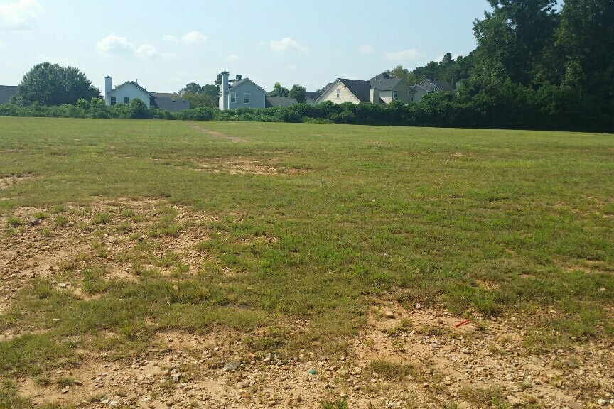 Soccer Field