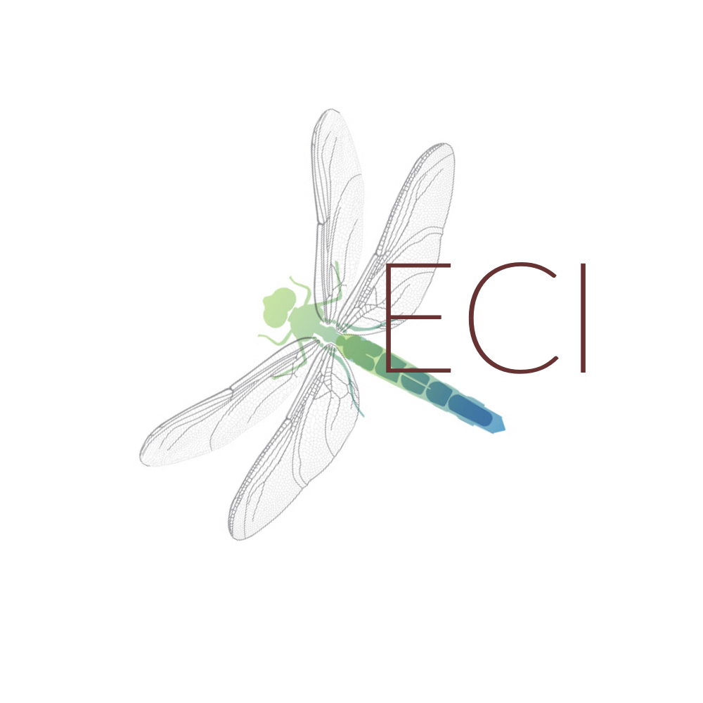 ECI logo