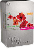 Hibiscus Ginger Orange (Iced) from ineeka