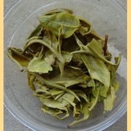 Early Spring 2011 "Yunnan Bi Luo Chun" Green tea from Yunnan Sourcing
