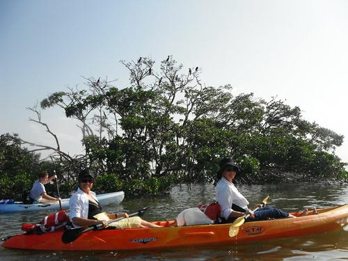 Kayaking at Adventures Kayaking: Hidden Beach Adventure - City of the location