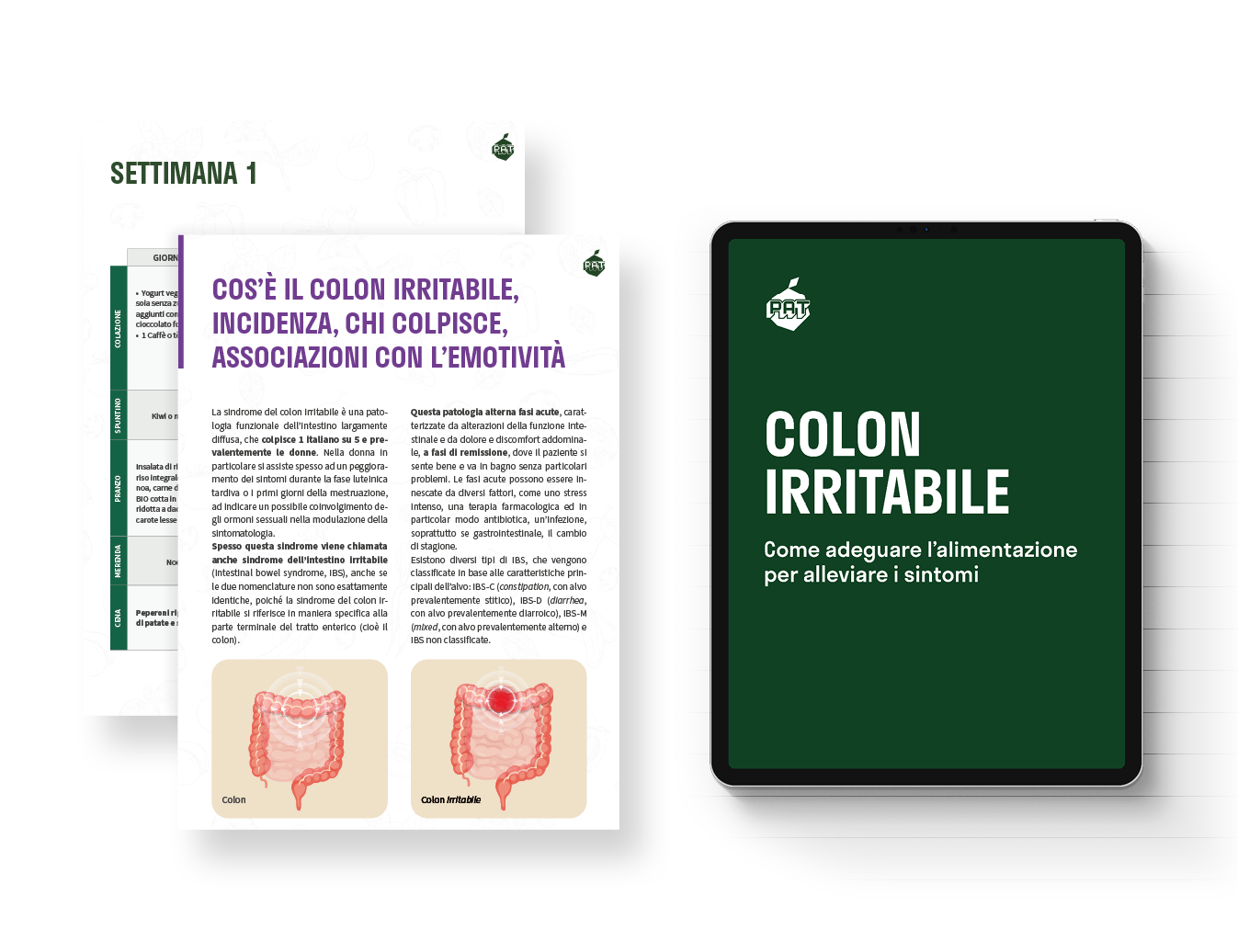 Contenuti del corso