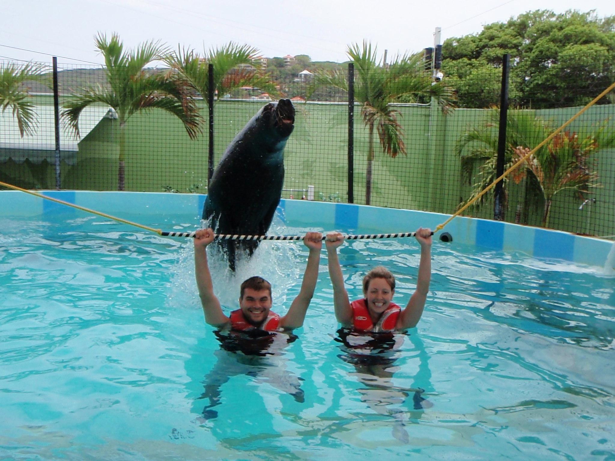 Sea Lion Splash & Swim photo 2