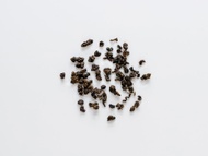 Ruby from Song Tea & Ceramics