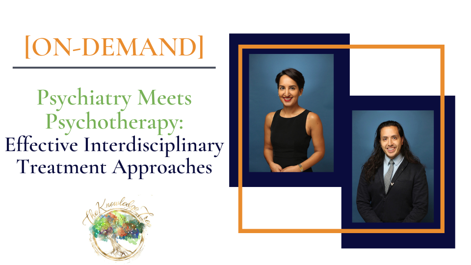 Psychiatry Meets Psychotherapy On-Demand CE Webinar for therapists, counselors, psychologists, social workers, marriage and family therapists