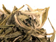 Drum Mountain White Cloud from In Pursuit of Tea